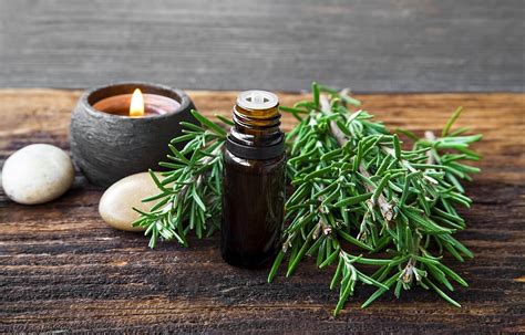 The Healing Powers of Rosemary: Unleashing its Magical Potential